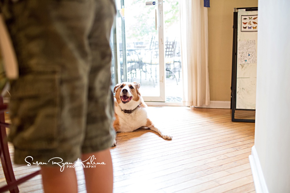 Chicago Family Photography Dog and Boy