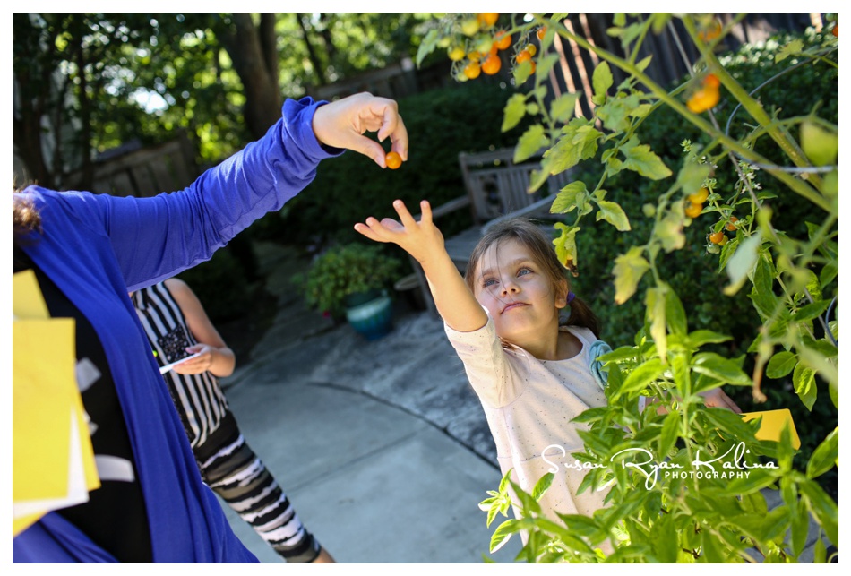 Family Photojournalism Home Vegetable Gardening Deerfield